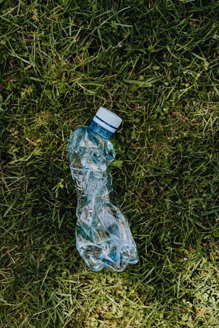 Access problems for Crystal Palace rubbish jobs what to know